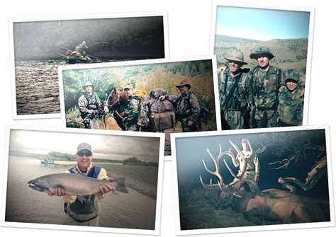 wildlife lawyer|fish and wildlife attorney.